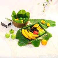 uploads/erp/collection/images/Home Garden/CongDing/XU0610471/img_b/XU0610471_img_b_3